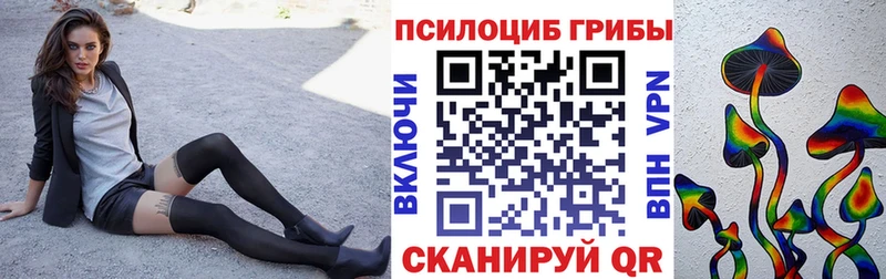 Галлюциногенные грибы мицелий цены наркотик Ковров